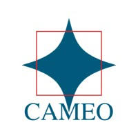 Cameo Corporate Services walk-in-drive - Back Office Executive | Chennai